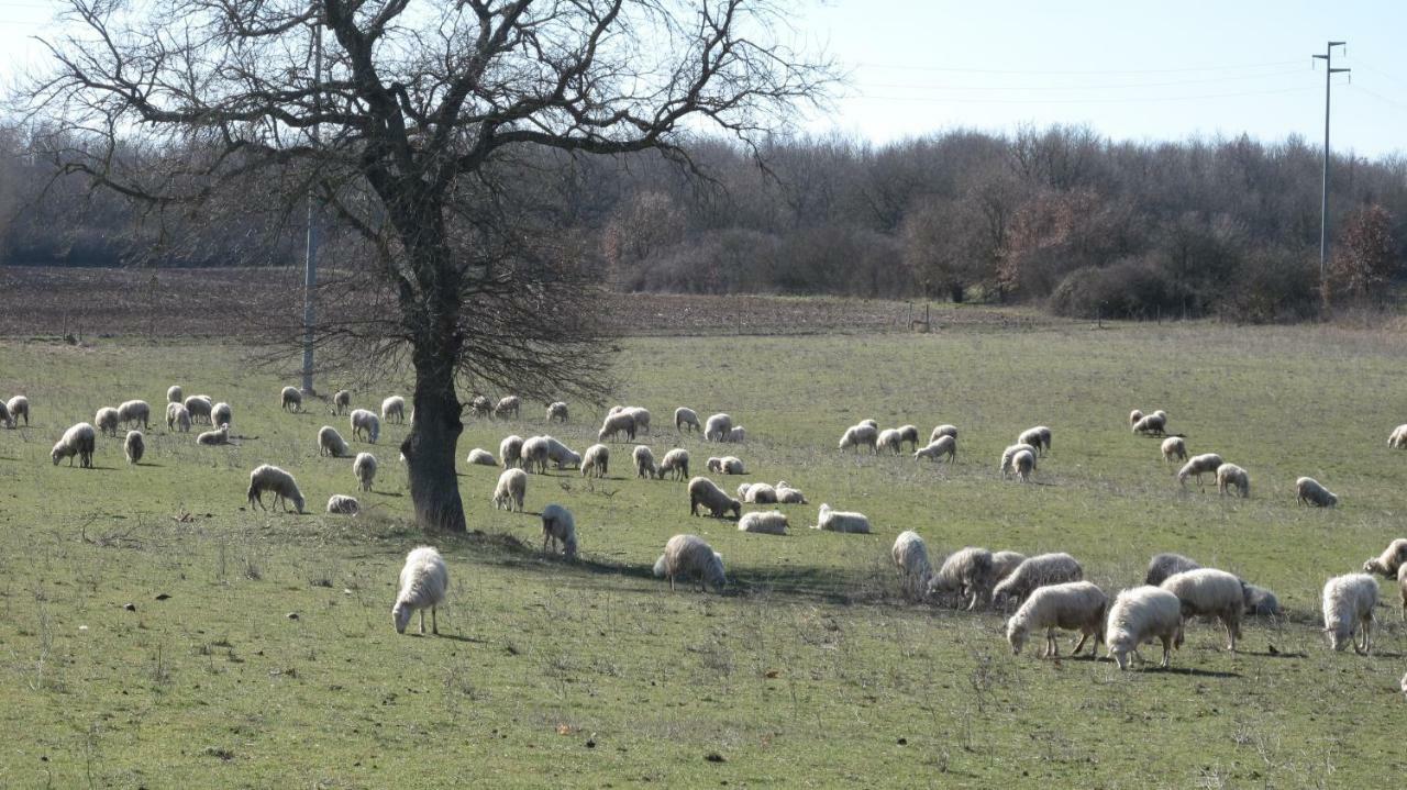 Agriturismo La Ghiga Nepi エクステリア 写真